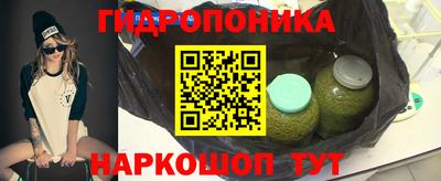 гашик Дубна