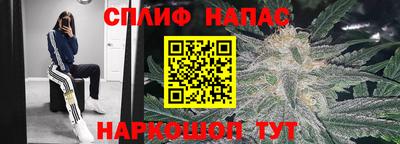 гашик Дубна