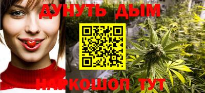 гашик Дубна